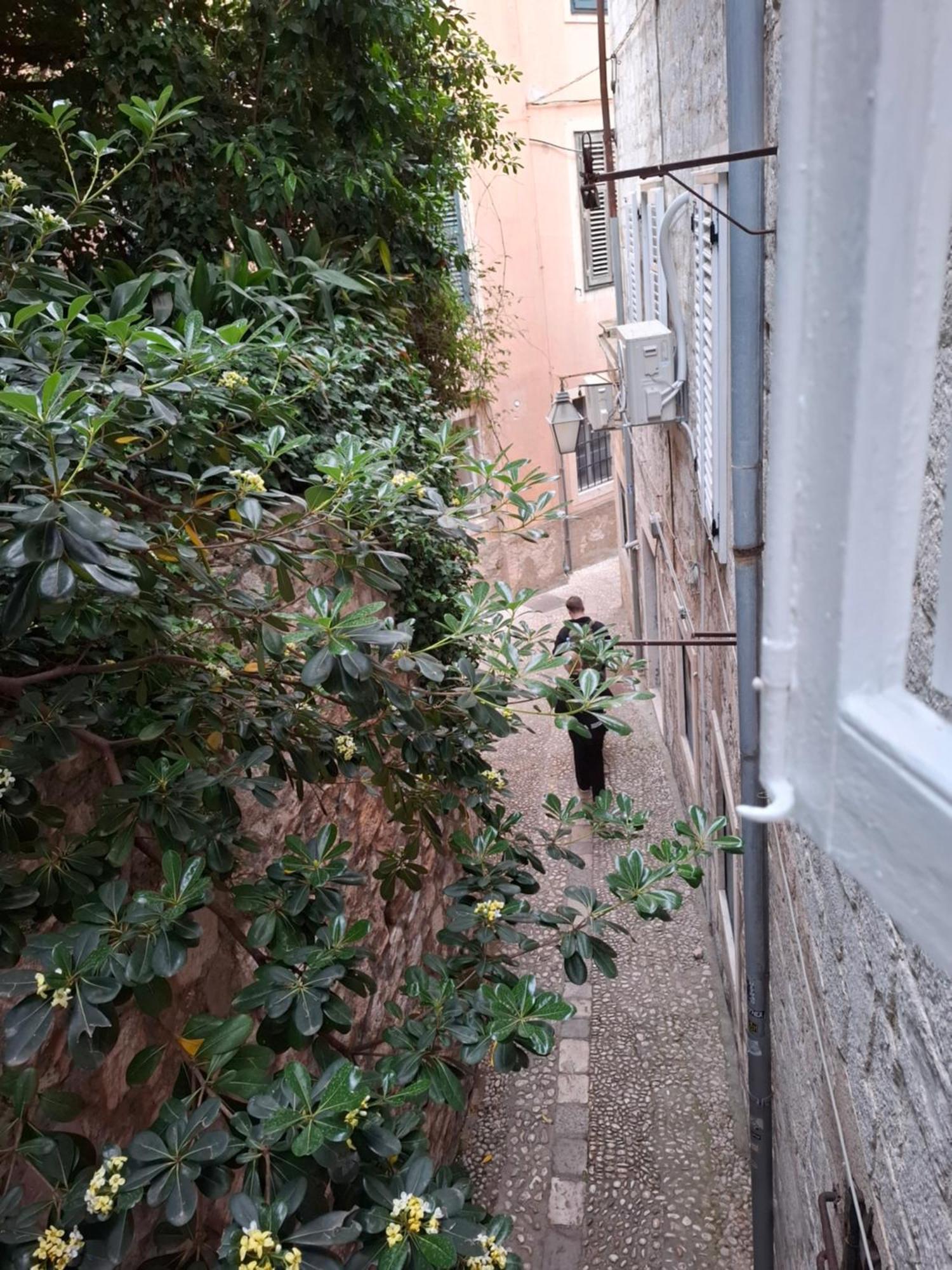 ドゥブロブニクスタジオ ノエミアパートメント エクステリア 写真